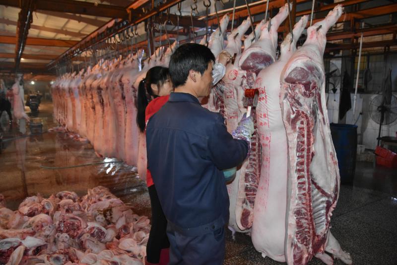 屠宰場如何利用蒸汽發(fā)生器進行豬肉脫毛？