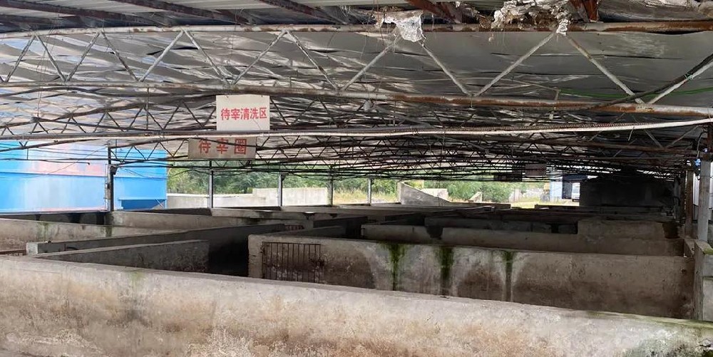 現(xiàn)代屠宰場用蒸汽發(fā)生器脫毛，30秒脫毛，效率高脫毛干凈